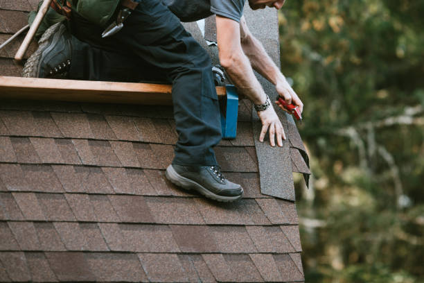 Roof Gutter Cleaning in Southside Place, TX